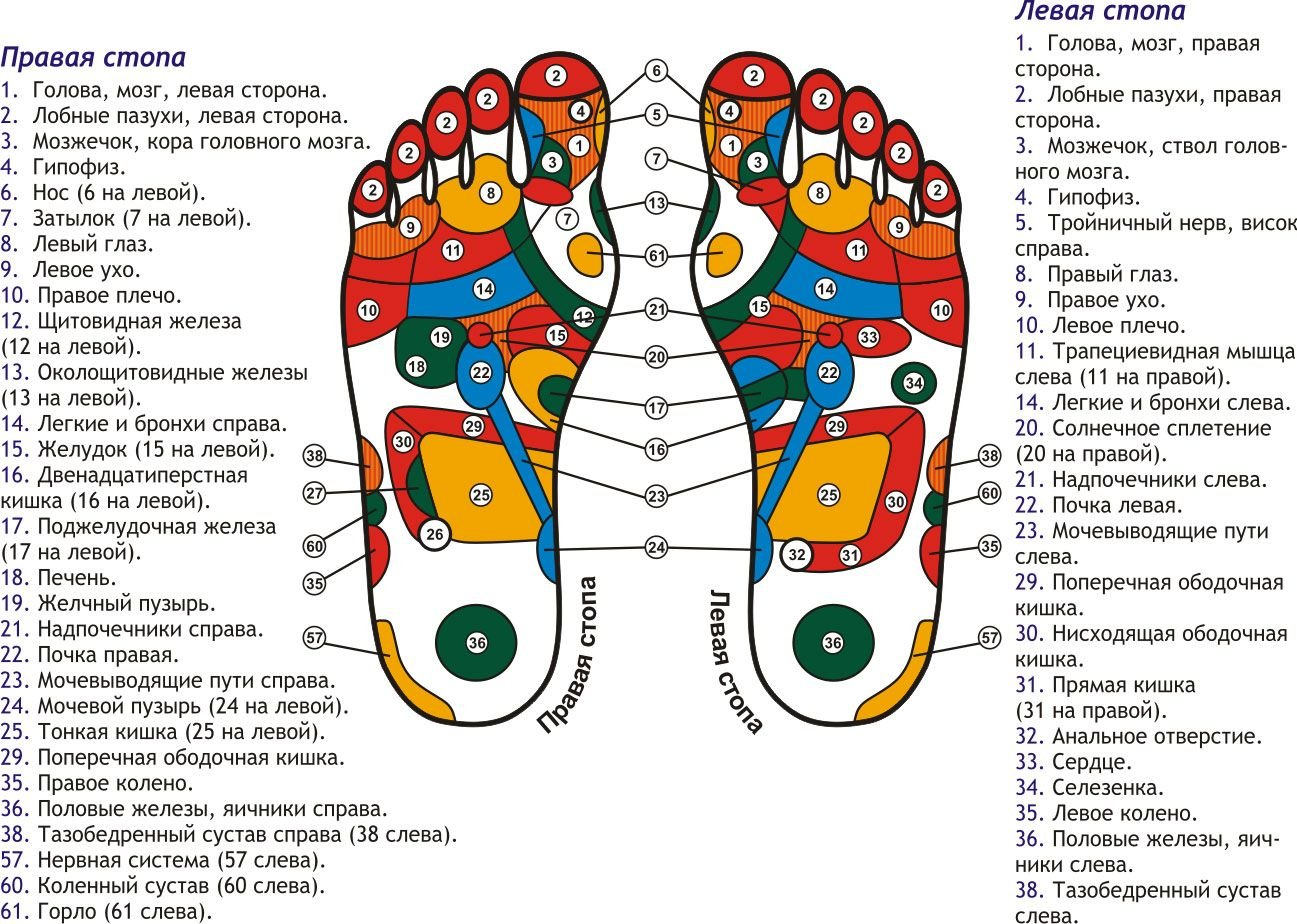 Рефлекторний масаж стоп-_2